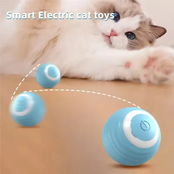 Cat Interactive Ball Training Self -Free Shipping